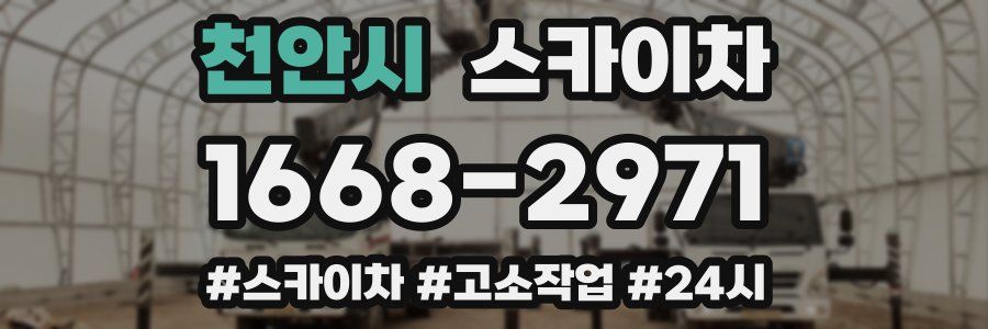 천안시 스카이차