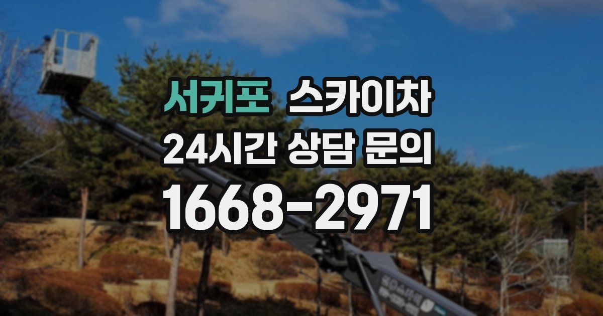 서귀포 스카이차