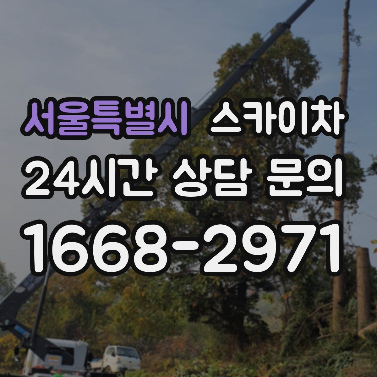 서울특별시 스카이차 작업 시간대 선택이 중요한 이유