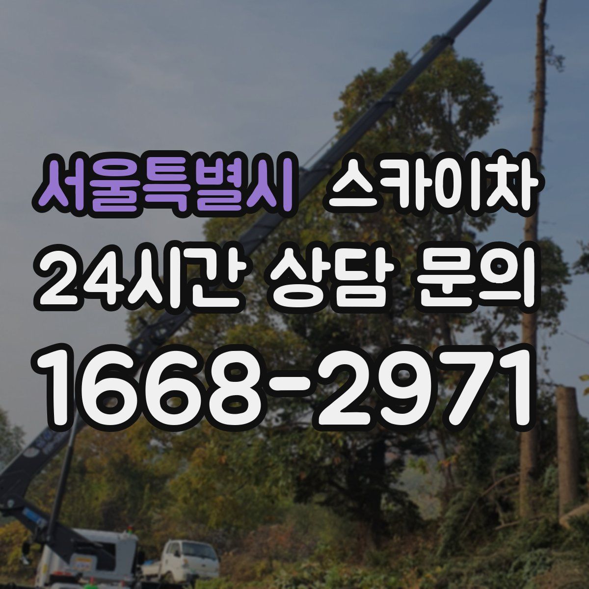 서울특별시 스카이차