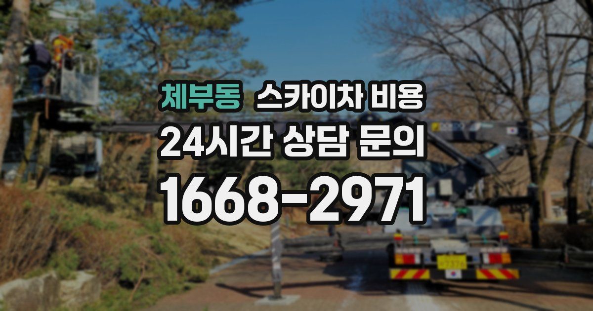 체부동 스카이차 비용