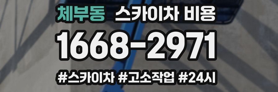 체부동 스카이차 비용