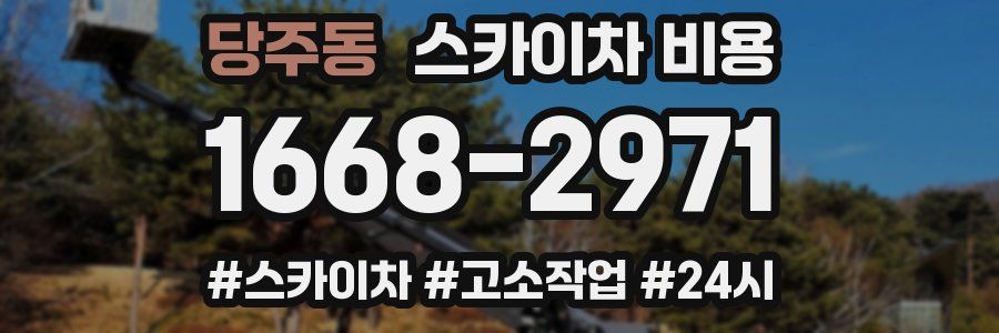 당주동 스카이차 비용