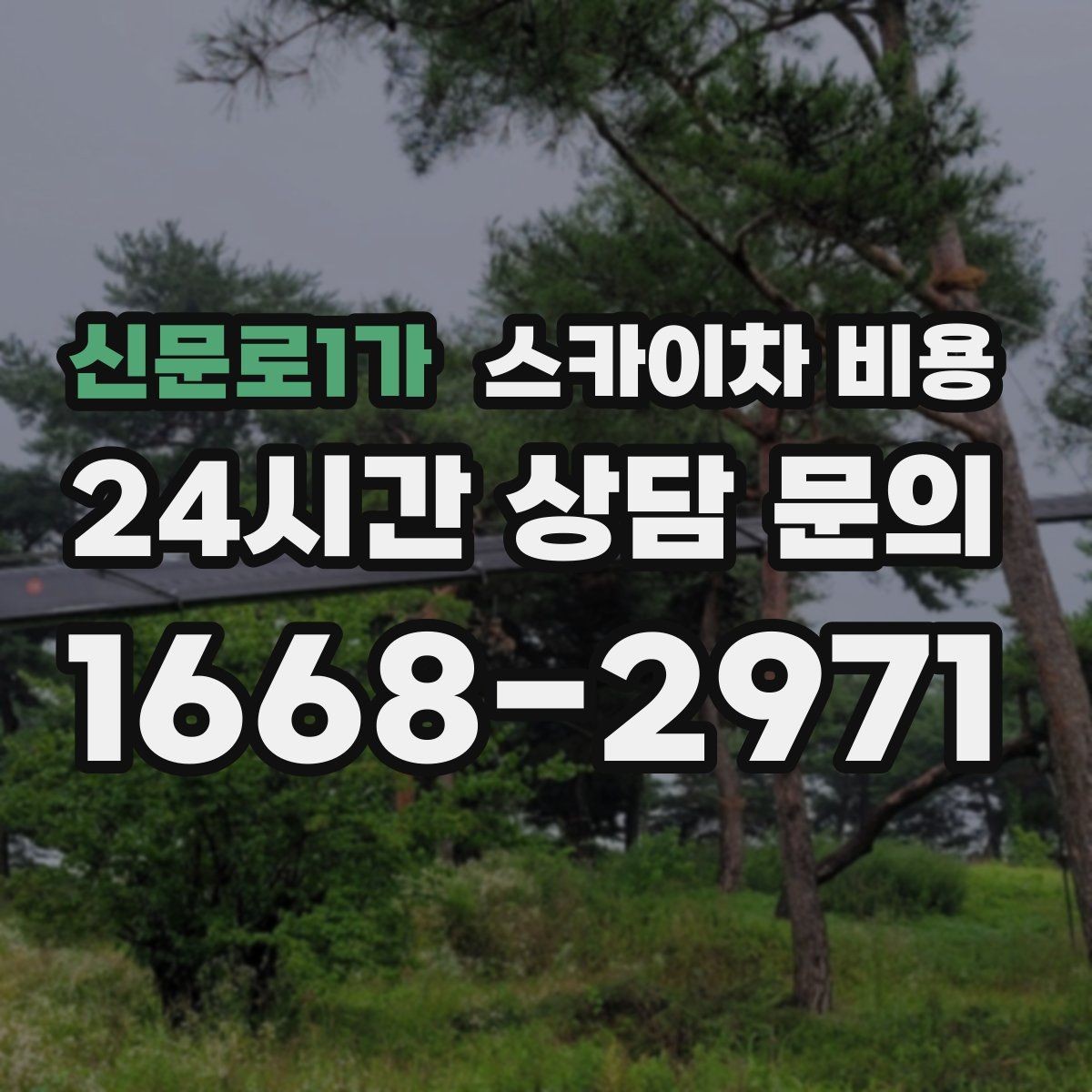 신문로1가 스카이차 비용 안전 조치가 필요한 현장은 왜 달라질까