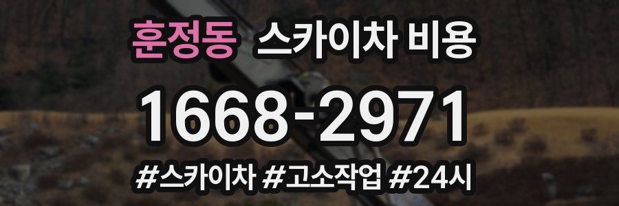 훈정동 스카이차 비용