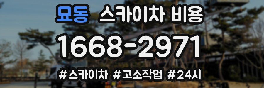 묘동 스카이차 비용