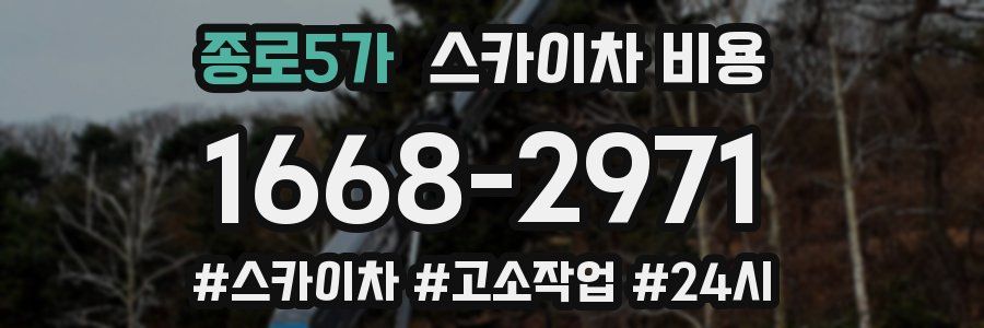 종로5가 스카이차 비용