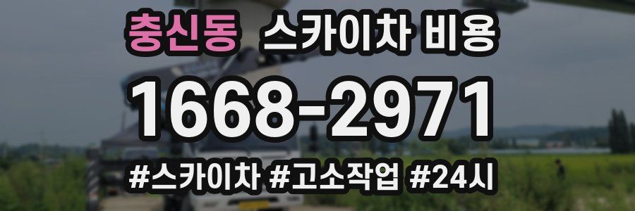 충신동 스카이차 비용