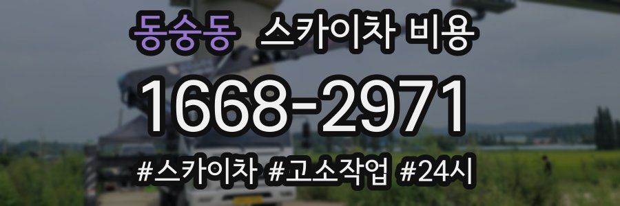 동숭동 스카이차 비용