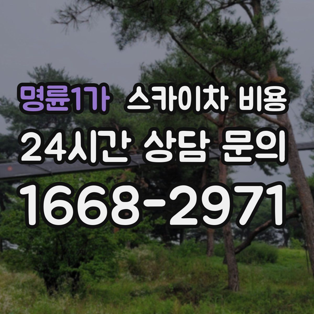 명륜1가 스카이차 비용