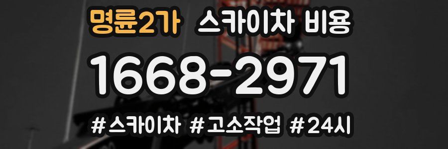 명륜2가 스카이차 비용
