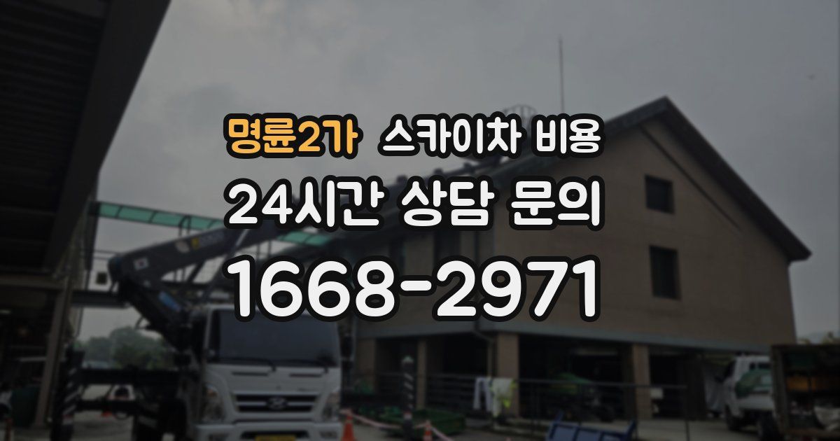 명륜2가 스카이차 비용