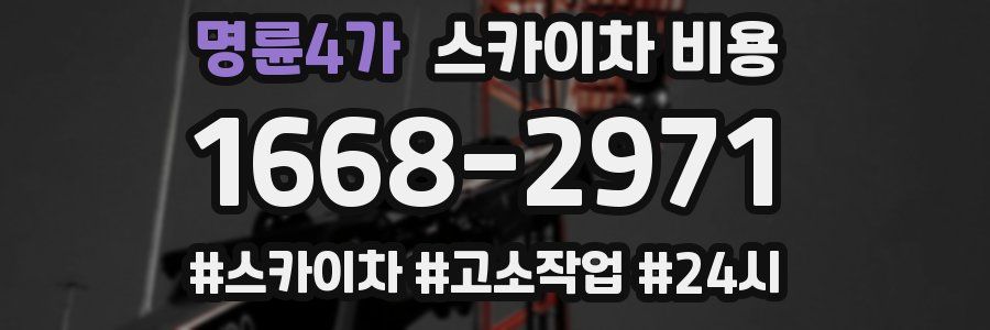 명륜4가 스카이차 비용