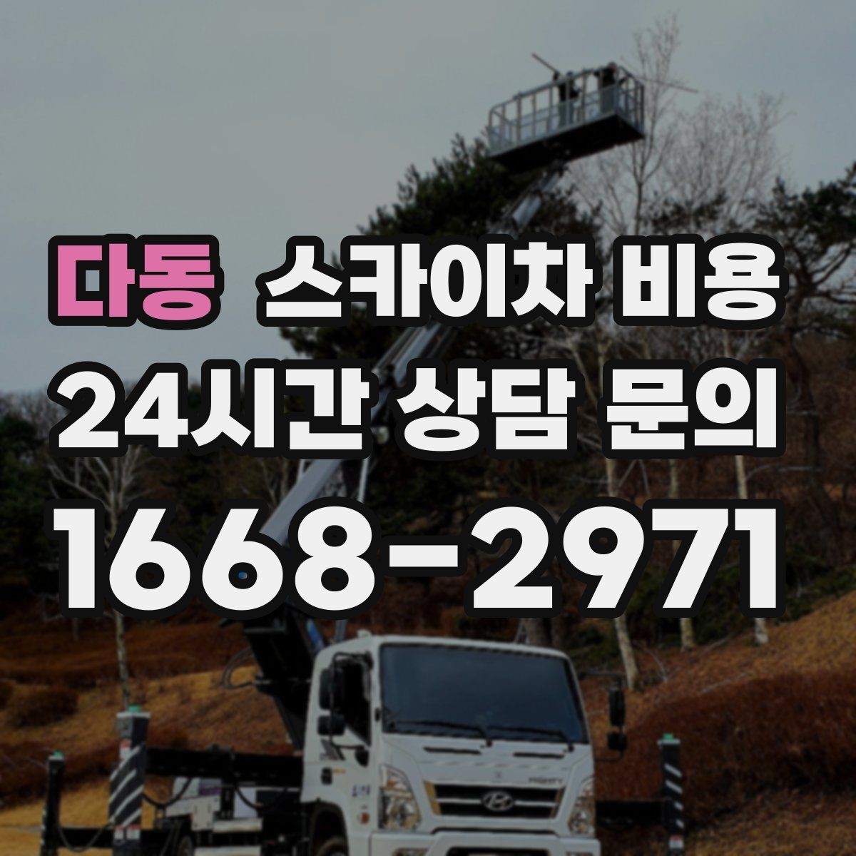 다동 스카이차 비용 보행자 많은 곳 작업 시 비용 요소
