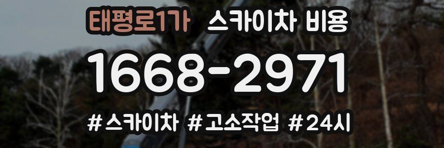 태평로1가 스카이차 비용