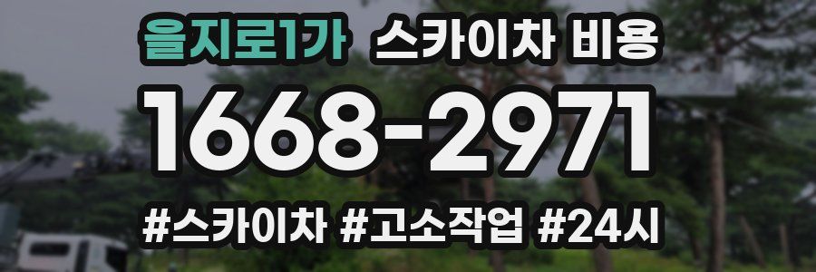 을지로1가 스카이차 비용