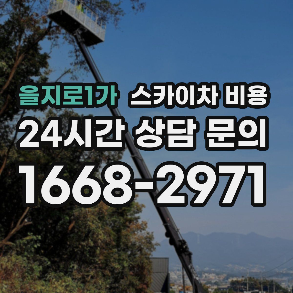 을지로1가 스카이차 비용