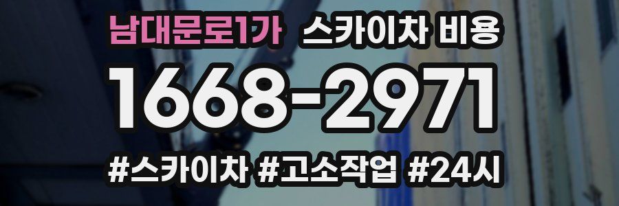 남대문로1가 스카이차 비용