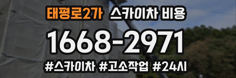 태평로2가 스카이차 비용