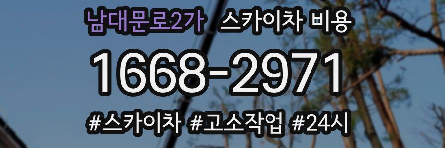 남대문로2가 스카이차 비용