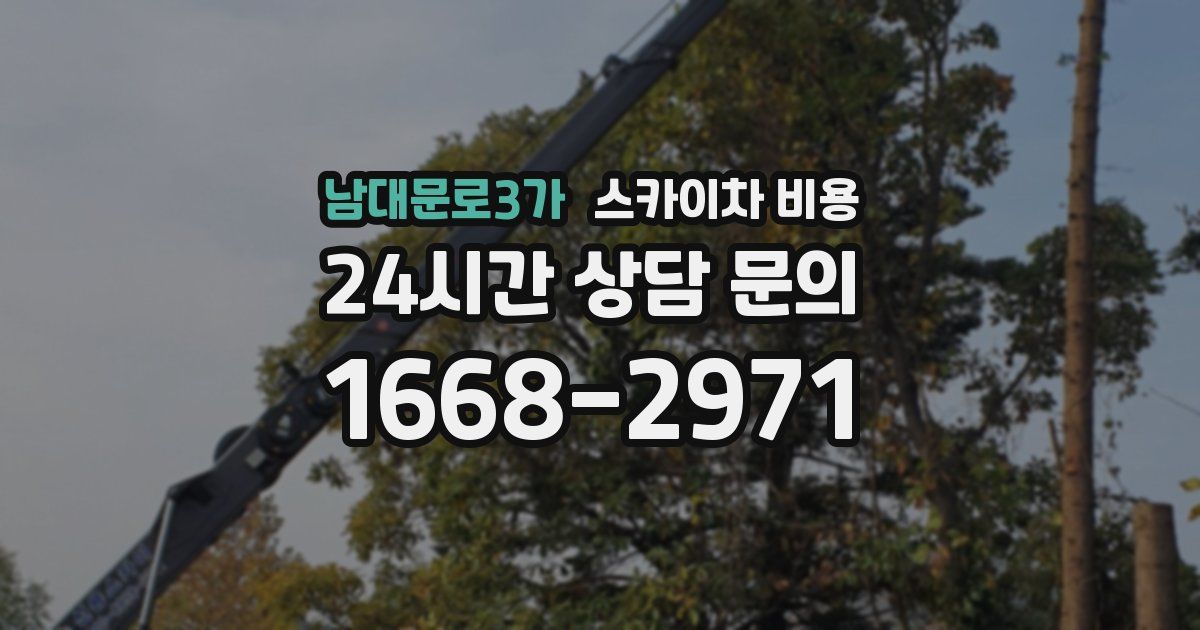 남대문로3가 스카이차 비용