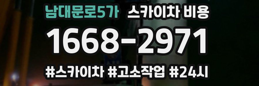 남대문로5가 스카이차 비용