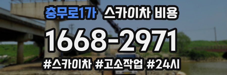 충무로1가 스카이차 비용