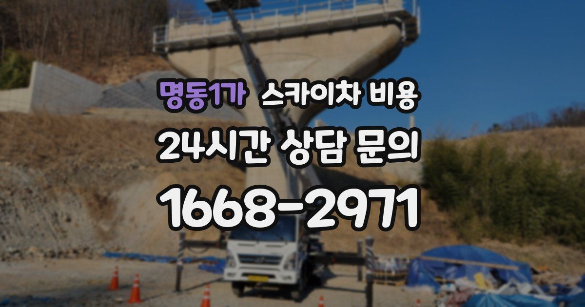 명동1가 스카이차 비용