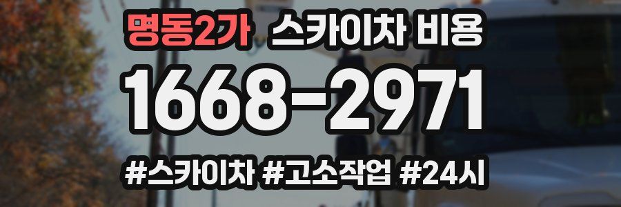 명동2가 스카이차 비용