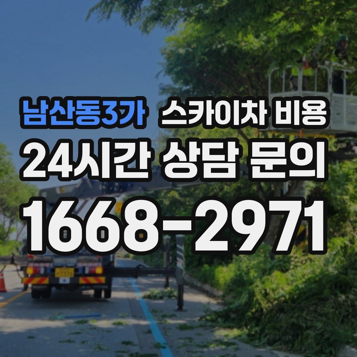 남산동3가 스카이차 비용 나무 전지 작업은 작업 범위가 핵심입니다
