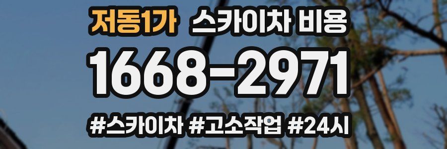 저동1가 스카이차 비용