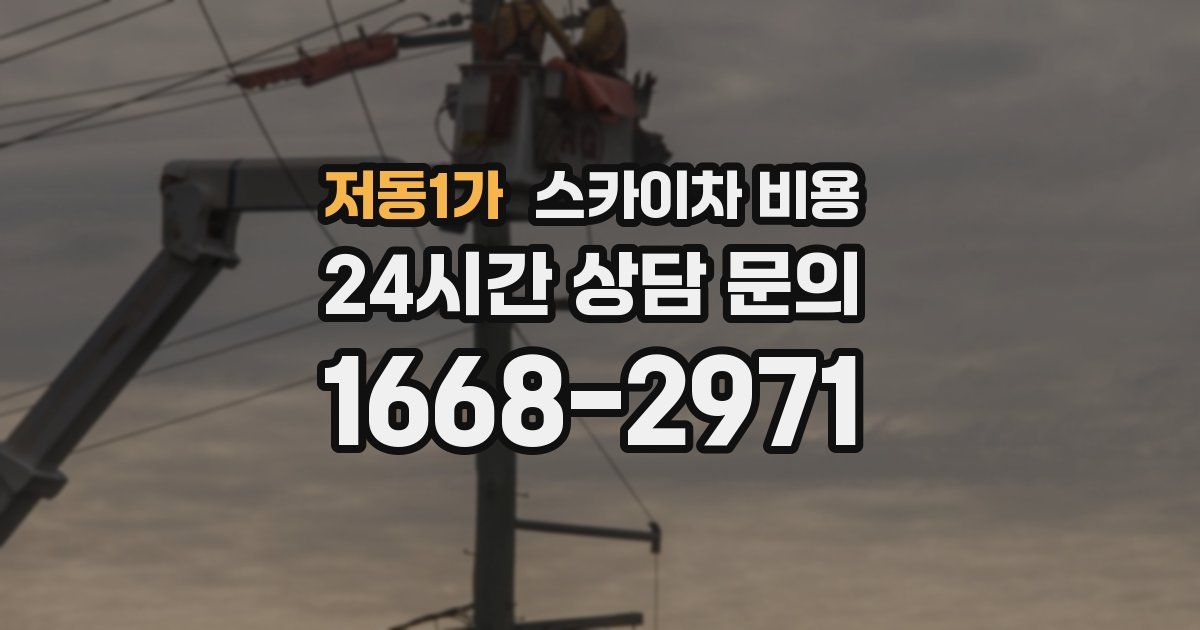 저동1가 스카이차 비용