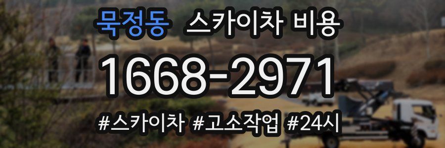 묵정동 스카이차 비용