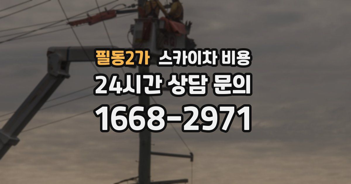 필동2가 스카이차 비용