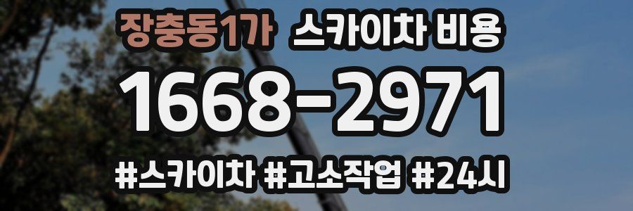 장충동1가 스카이차 비용