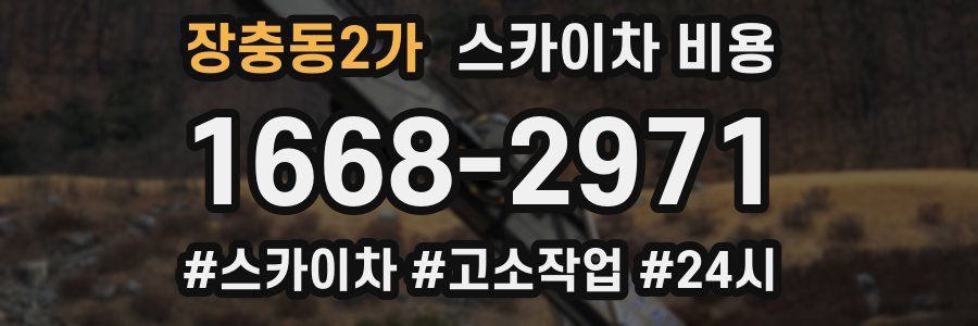 장충동2가 스카이차 비용