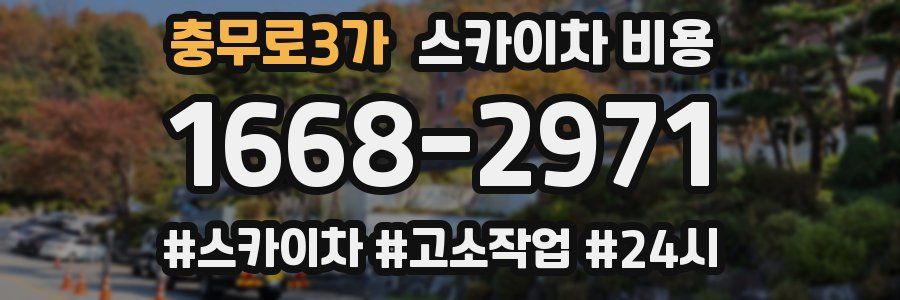 충무로3가 스카이차 비용