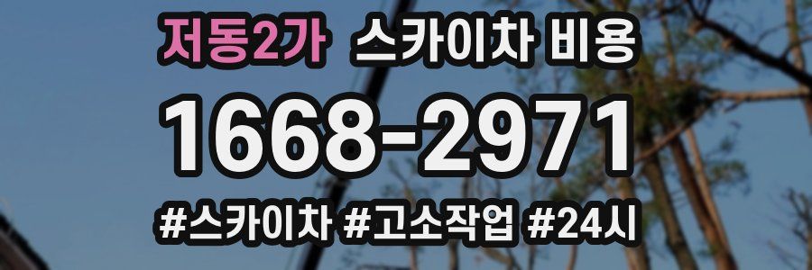 저동2가 스카이차 비용