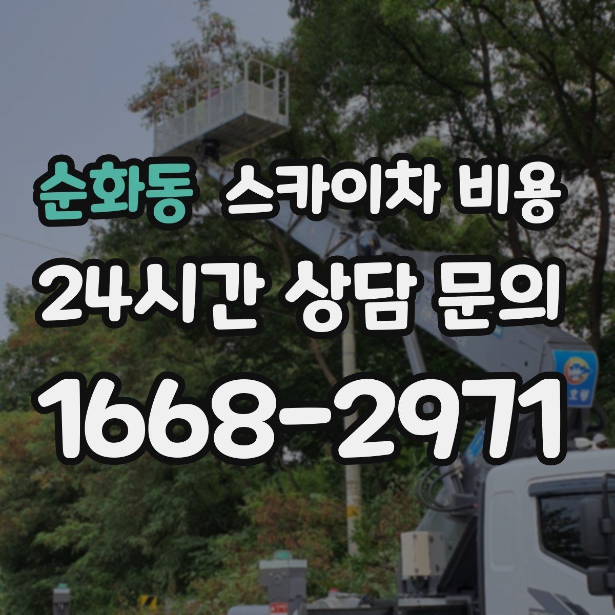 순화동 스카이차 비용 간판 문구 교체는 어떤 기준으로 볼까