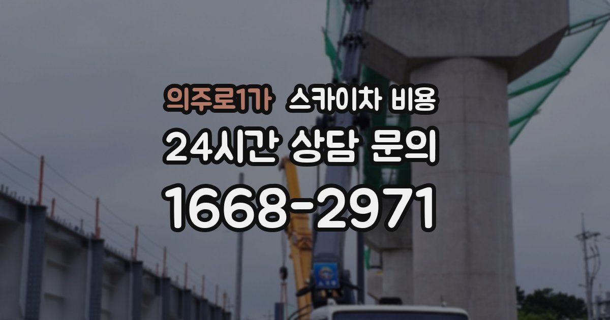 의주로1가 스카이차 비용