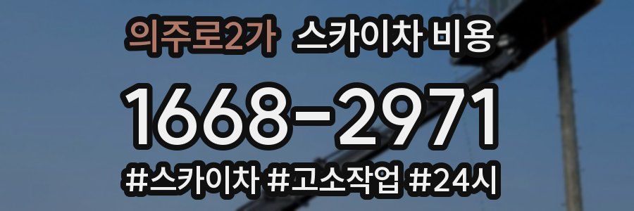 의주로2가 스카이차 비용