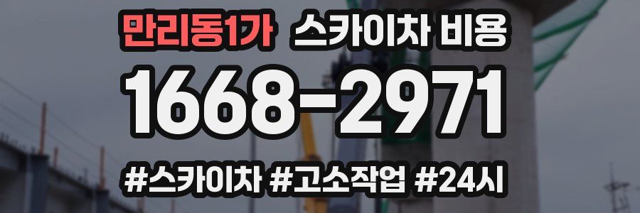 만리동1가 스카이차 비용