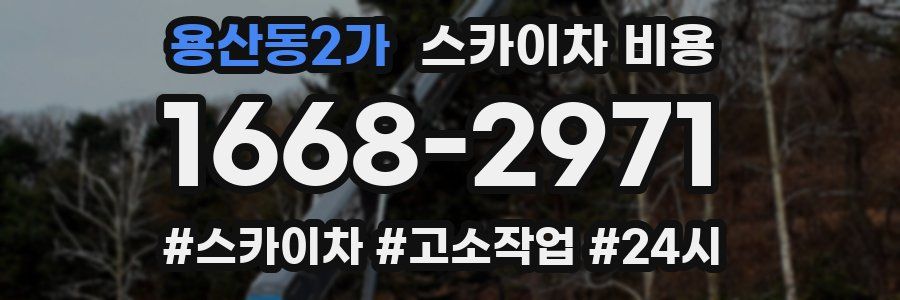용산동2가 스카이차 비용