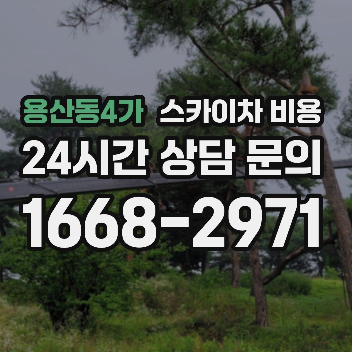 용산동4가 스카이차 비용 '포함' 항목이 무엇인지 먼저 확인하세요