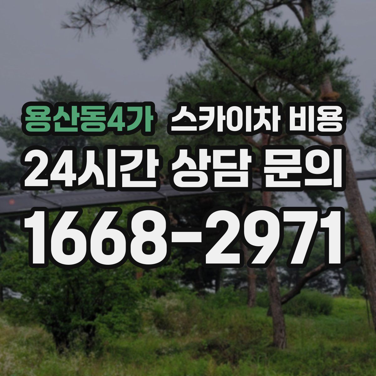 용산동4가 스카이차 비용