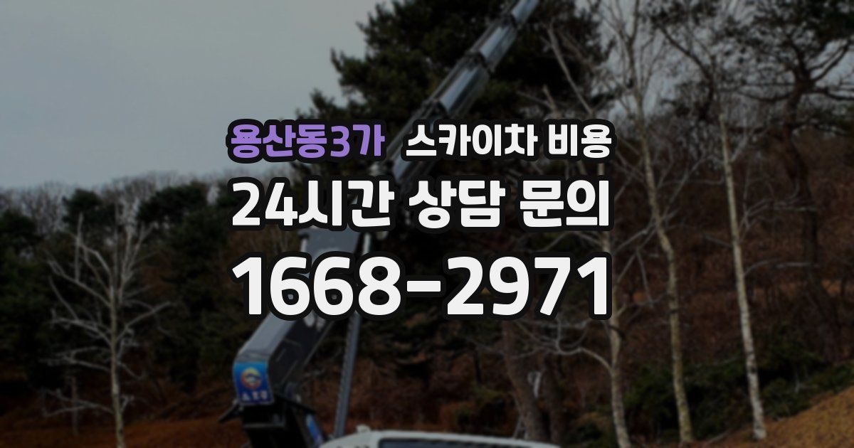 용산동3가 스카이차 비용