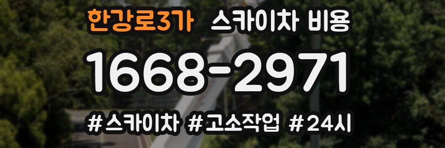 한강로3가 스카이차 비용