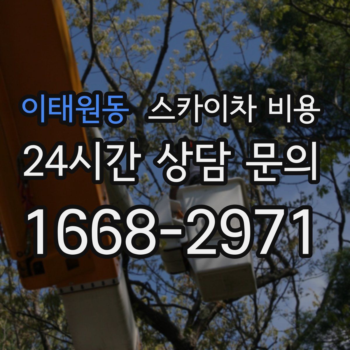 이태원동 스카이차 비용