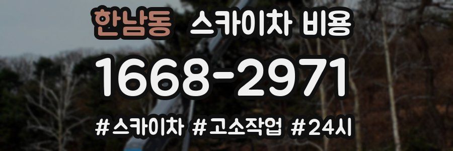 한남동 스카이차 비용