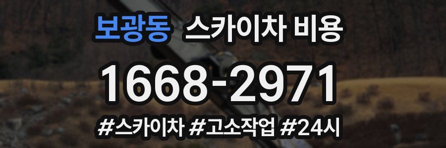 보광동 스카이차 비용